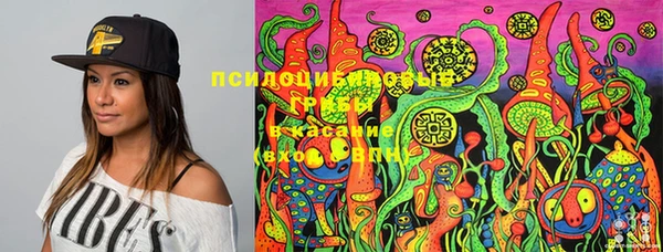 мдпв Абаза