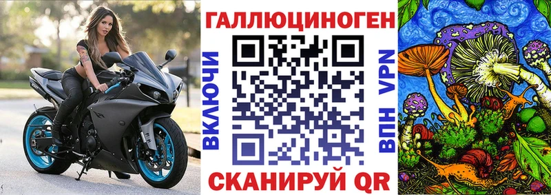 Псилоцибиновые грибы Cubensis  Старая Русса 